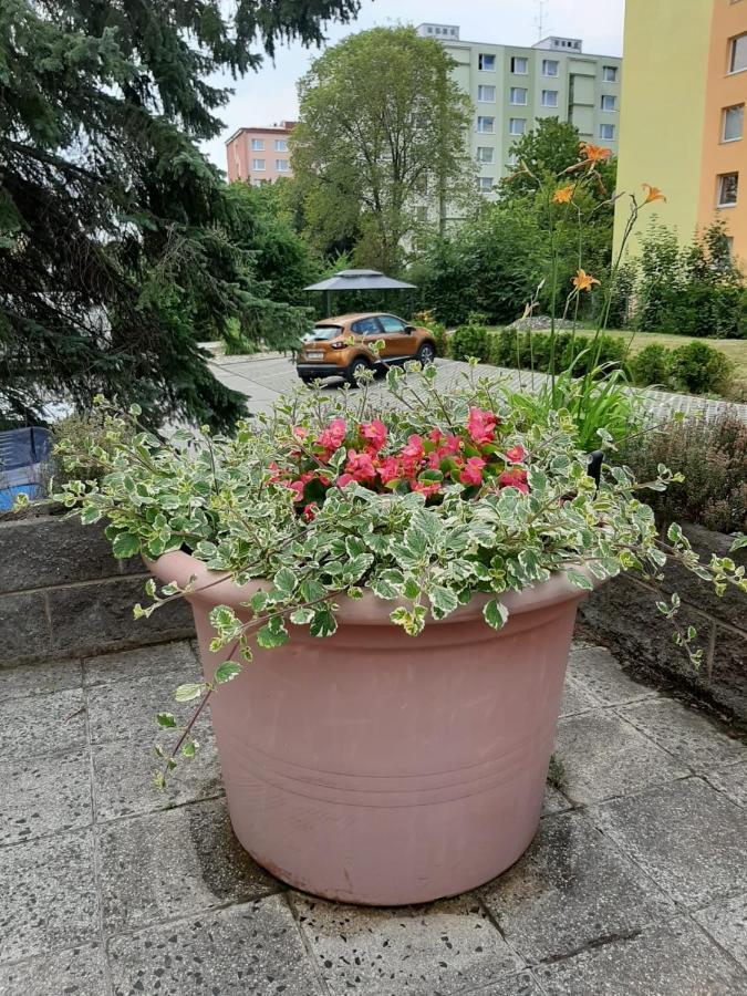 Appartement Zluty Apartman A6 V Chomutove Extérieur photo